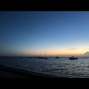 Meet your Posher, Audrey